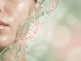 PDRN nella skincare coreana: benefici e come usarlo - Kimochi